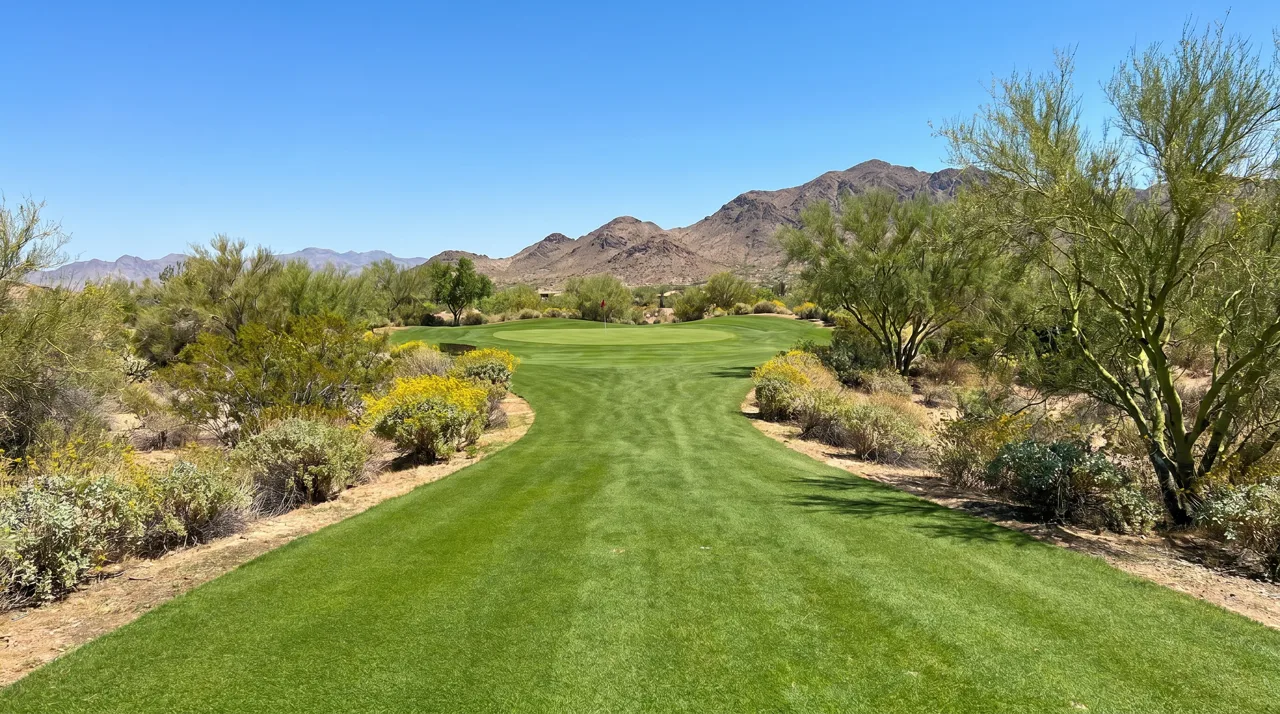 Empty desert golf fairway with a single flag pin and native desert plants along the edges