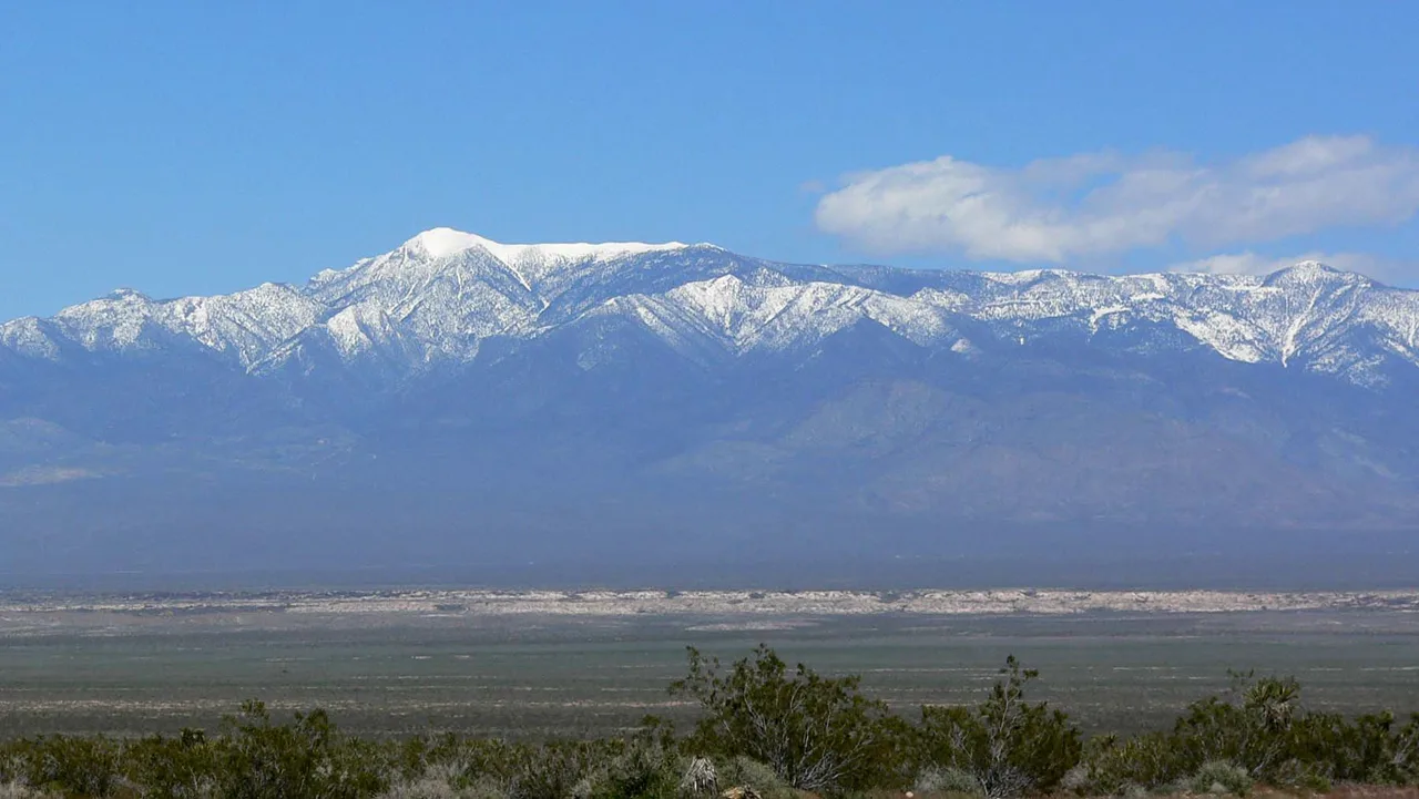 Mount Charleston in winter with snow-covered pine trees and clear blue sky