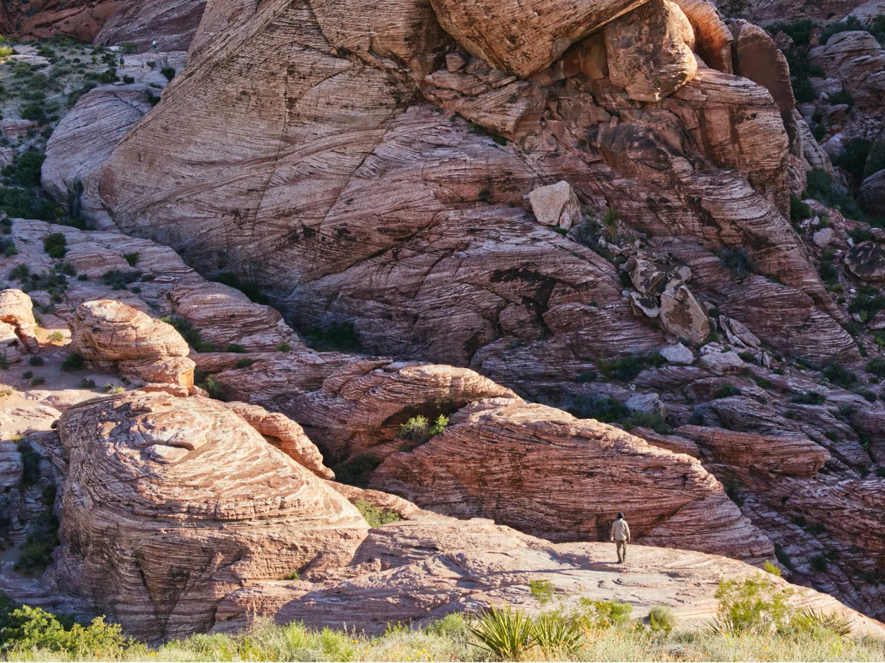 Red Rock Canyon Hiking Guide for Las Vegas Residents,Julia Grambo