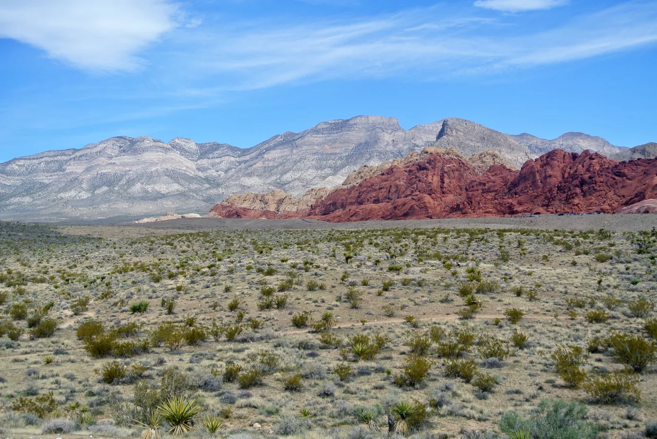 Red sandstone cliffs and desert vegetation at Red Rock Canyon National Conservation Area outside Las Vegas