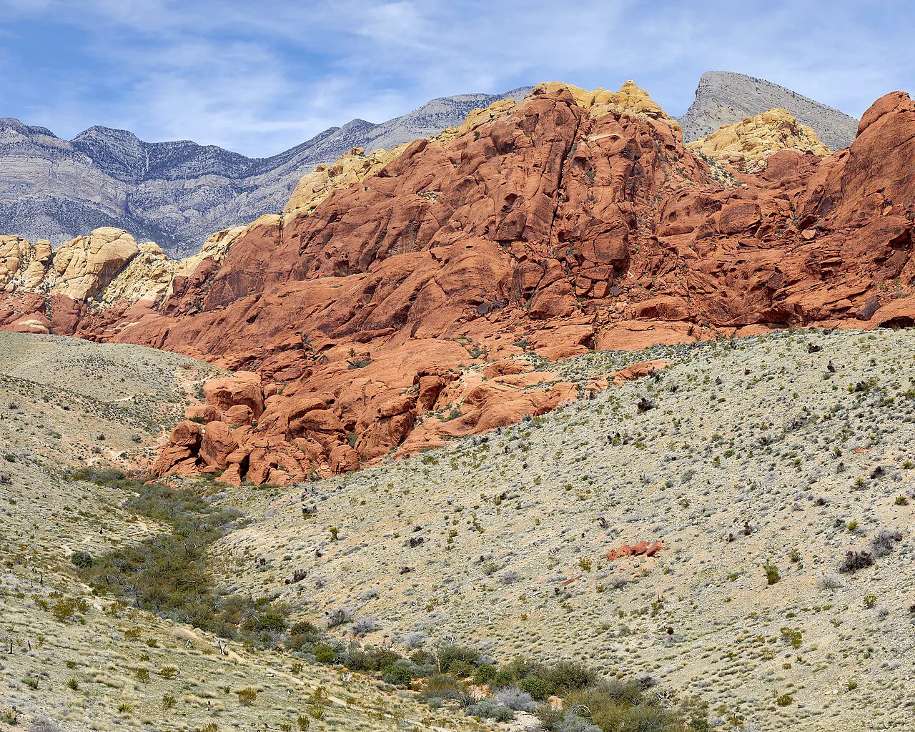 Red Rock Canyon scenic drive with red sandstone cliffs and desert plants near Las Vegas