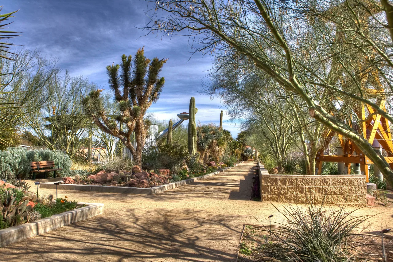 Curated desert garden pathway at Springs Preserve in Las Vegas with specimen cacti and shade trees
