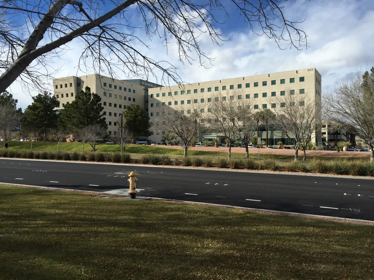 Summerlin Hospital Medical Center exterior in Las Vegas with desert landscaping in the foreground