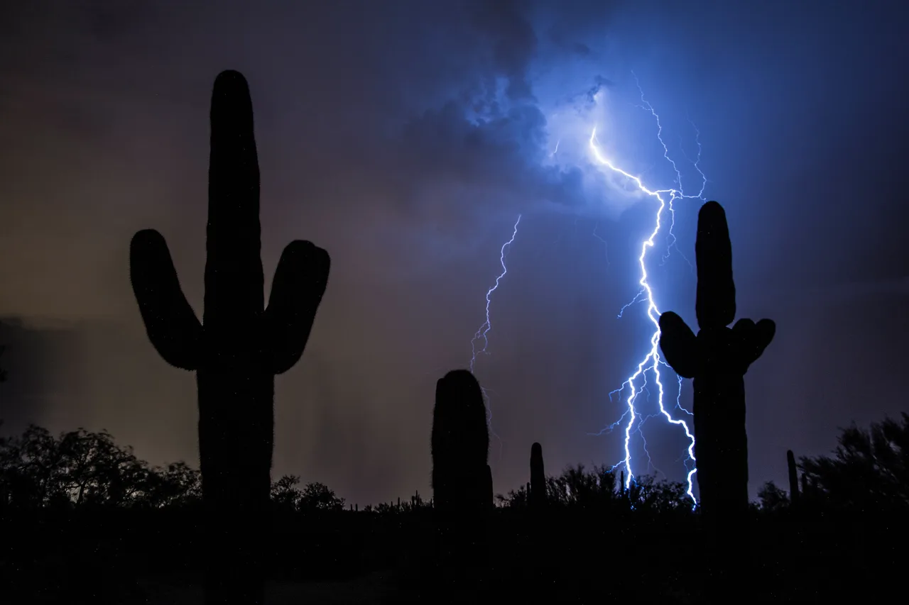 Dramatic monsoon thunderstorm clouds building over the Sonoran Desert with saguaro cactus in the foreground near Tucson